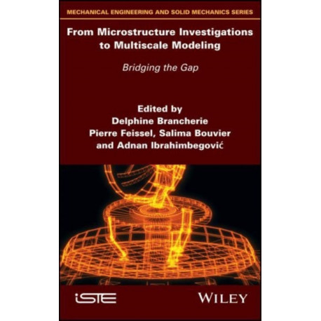 From Microstructure Investigations to Multiscale Modeling: Bridging the Gap