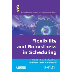 Flexibility and Robustness in Scheduling