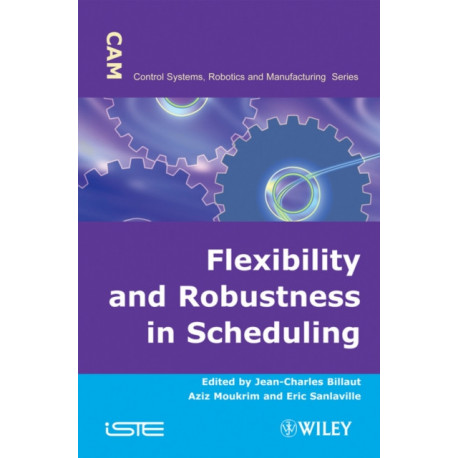 Flexibility and Robustness in Scheduling