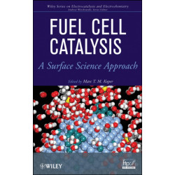 Fuel Cell Catalysis: A Surface Science Approach