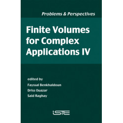 Finite Volumes for Complex Applications IV: Problems and Perspectives