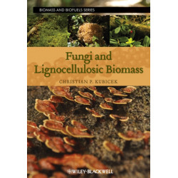 Fungi and Lignocellulosic Biomass
