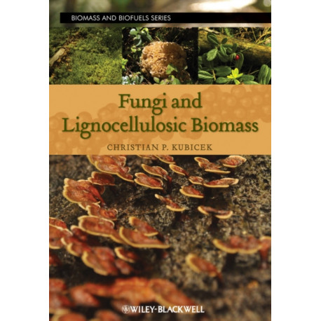 Fungi and Lignocellulosic Biomass