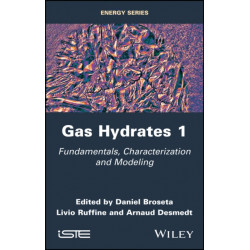 Gas Hydrates 1: Fundamentals, Characterization and Modeling