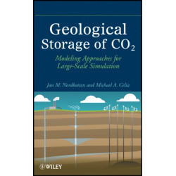 Geological Storage of CO2: Modeling Approaches for Large-Scale Simulation