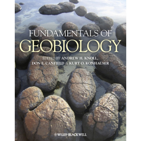 Fundamentals of Geobiology