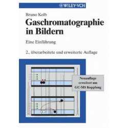Gaschromatographie in Bildern: Eine Einfuhrung