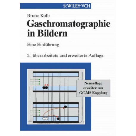 Gaschromatographie in Bildern: Eine Einfuhrung