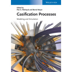 Gasification Processes: Modeling and Simulation