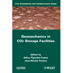 Geomechanics in CO2 Storage Facilities