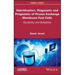 Hybridization, Diagnostic and Prognostic of PEM Fuel Cells: Durability and Reliability
