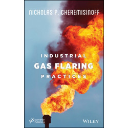 Industrial Gas Flaring Practices