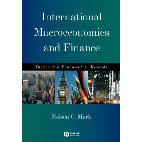 International Macroeconomics and Finance: Theory and Econometric Methods