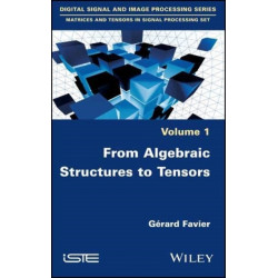 From Algebraic Structures to Tensors