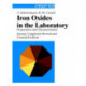 Iron Oxides in the Laboratory: Preparation and Characterization