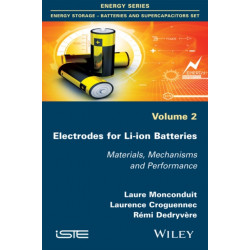 Electrodes for Li-ion Batteries: Materials, Mechanisms and Performance