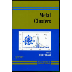 Metal Clusters