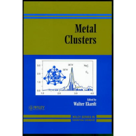 Metal Clusters