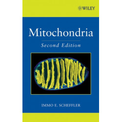 Mitochondria