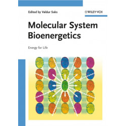 Molecular System Bioenergetics: Energy for Life