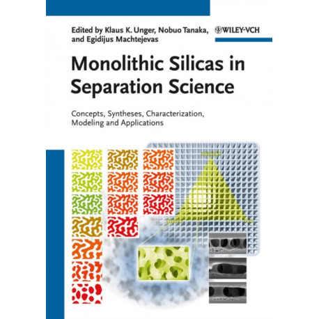 Monolithic Silicas in Separation Science: Concepts, Syntheses, Characterization, Modeling and Applications