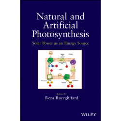 Natural and Artificial Photosynthesis: Solar Power as an Energy Source