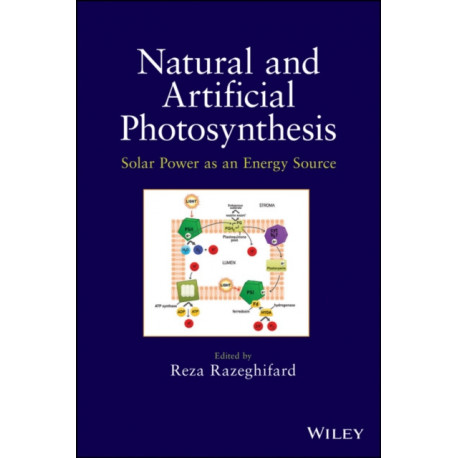 Natural and Artificial Photosynthesis: Solar Power as an Energy Source