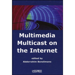 Multimedia Multicast on the Internet