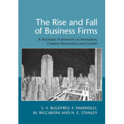 The Rise and Fall of Business Firms: A Stochastic Framework on Innovation, Creative Destruction and Growth