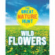 The Great Nature Hunt: Wild Flowers