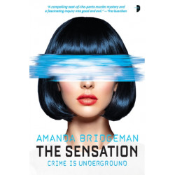 The Sensation: The Salvation Series, Book II