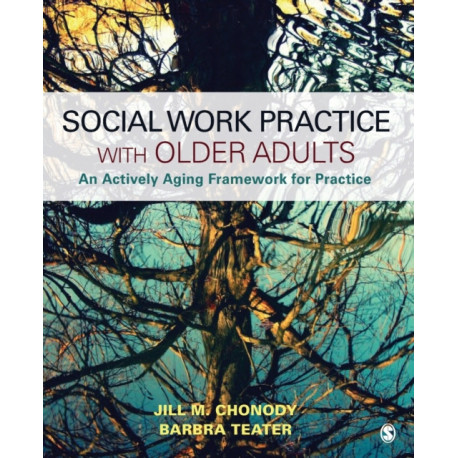 Social Work Practice With Older Adults: An Actively Aging Framework for Practice