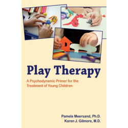 Play Therapy: A Psychodynamic Primer for the Treatment of Young Children