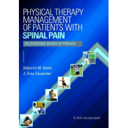 Physical Therapy Management of Patients with Spinal Pain: An Evidence-Based Approach