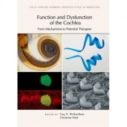 Function and Dysfunction of the Cochlea: From Mechanisms to Potential Therapies