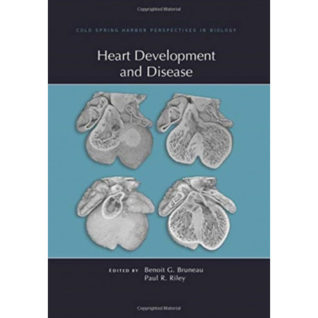 Heart Development and Disease