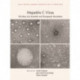 Hepatitis C Virus: The Story of a Scientific and Therapeutic Revolution