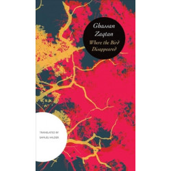 Where the Bird Disappeared