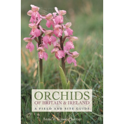 Orchids of Britain and Ireland: A Field and Site Guide