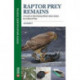 Raptor Prey Remains: A Guide to Identifying What’s Been Eaten by a Bird of Prey
