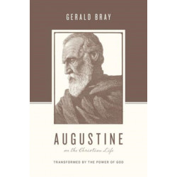 Augustine on the Christian Life: Transformed by the Power of God