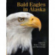 Bald Eagles in Alaska
