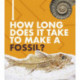 How Long Does It Take to Make a Fossil?