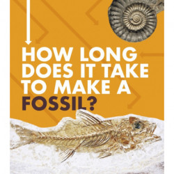 How Long Does It Take to Make a Fossil?