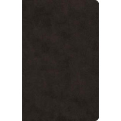 ESV Large Print Value Thinline Bible