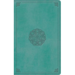 ESV Large Print Value Thinline Bible