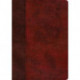 ESV Single Column Journaling Bible, Large Print