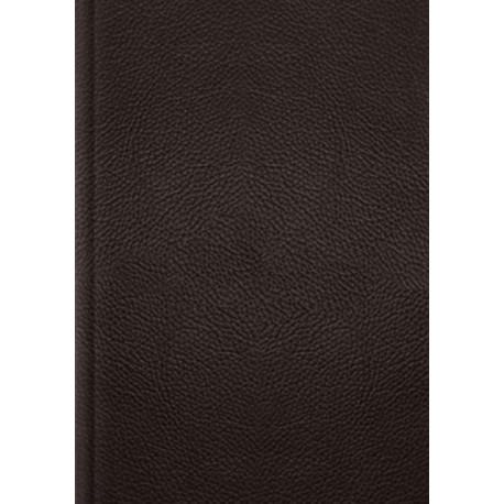 ESV Single Column Journaling Bible, Large Print