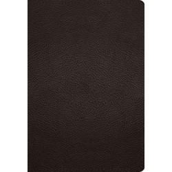 ESV Large Print Compact Bible, Red Letter