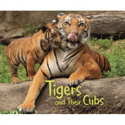 Tigers and Their Cubs